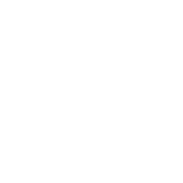 stm icon07