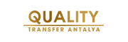 stm qtransfer logo color