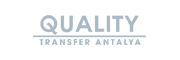 stm qtransfer logo