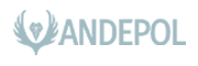 andepol logo